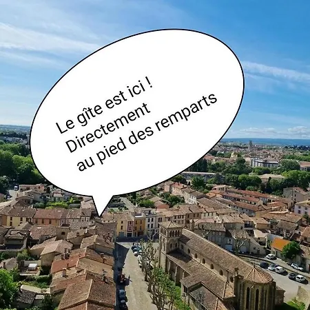 Barbacane * Carcassonne